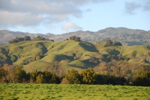 rolling_hills_of_the_napa_valley