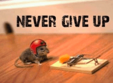 Never Give Up